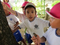 IMG_4413