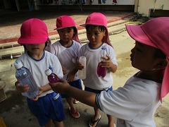 IMG_4421