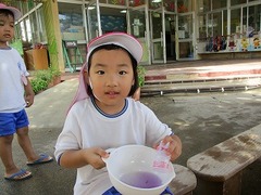 IMG_4430