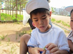 IMG_9710