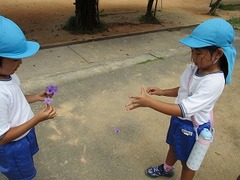 IMG_9643