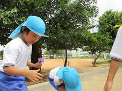 IMG_9645