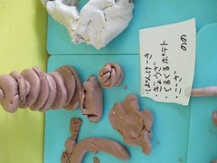 IMG_9695