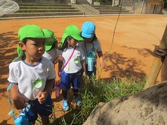 IMG_1730