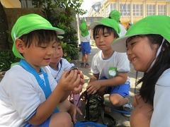 IMG_1731