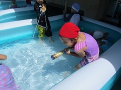 IMG_2238