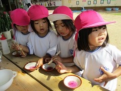 IMG_4227