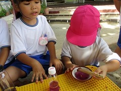 IMG_4236