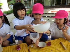 IMG_4241
