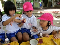 IMG_4243
