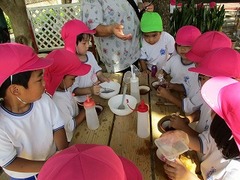 IMG_4248