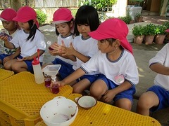 IMG_4249