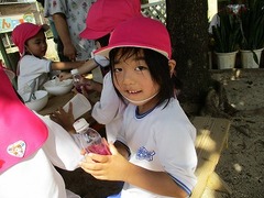 IMG_4252