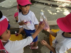 IMG_4270