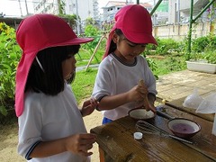 IMG_4297