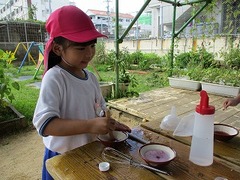 IMG_4298