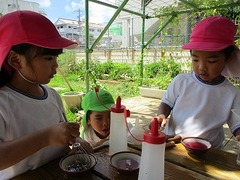 IMG_4308