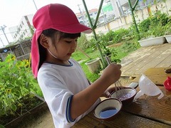 IMG_4312