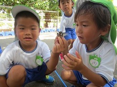 IMG_1687