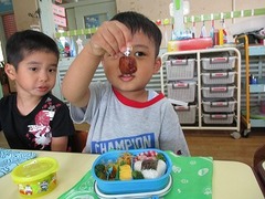IMG_4165