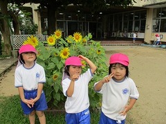 IMG_3559