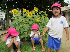 IMG_3560