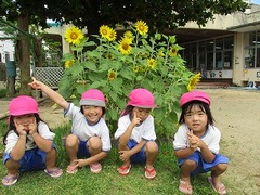 IMG_3565