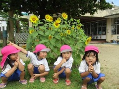 IMG_3566