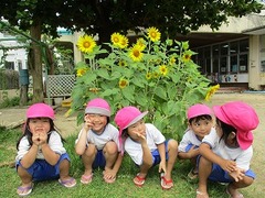 IMG_3567