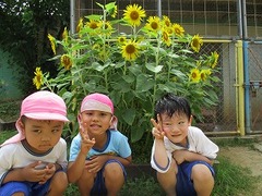 IMG_3570