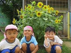 IMG_3571