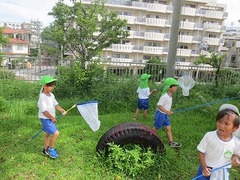 IMG_1434