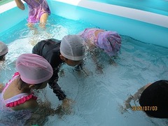 IMG_1906