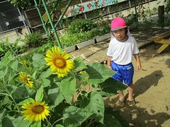 IMG_3434