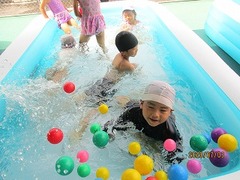 IMG_9241