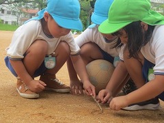IMG_1418