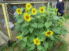 IMG_1849