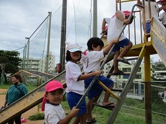 IMG_3328