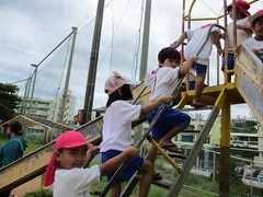 IMG_3329