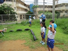 IMG_9186