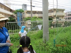 IMG_9188