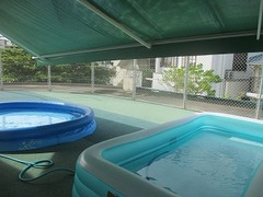 IMG_1421