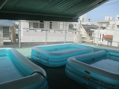 IMG_1422