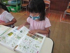 IMG_1505