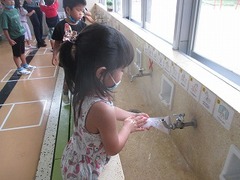 IMG_1533
