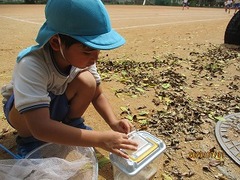 IMG_1784