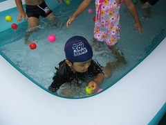 IMG_3239
