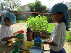 IMG_1681