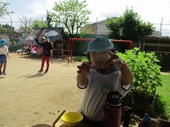 IMG_1683