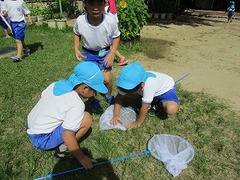 IMG_3091